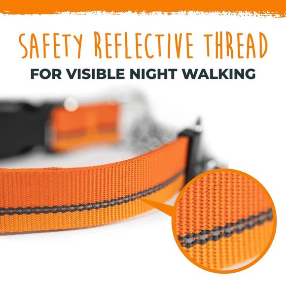 NWT Mighty Paw Orange Martingale Dog Collar 2.0 - Picture 7 of 8